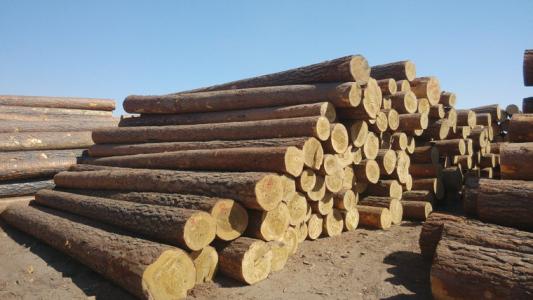 我国木材市场依旧以进口木材为主