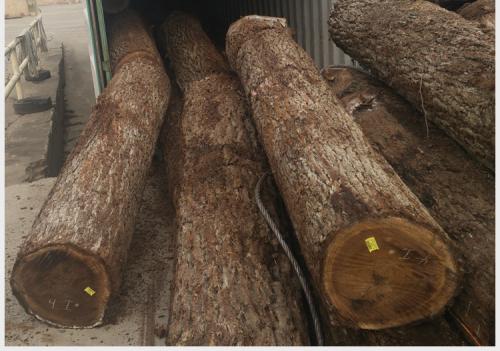 美国进口木材关税增至25%，受伤的还是美方